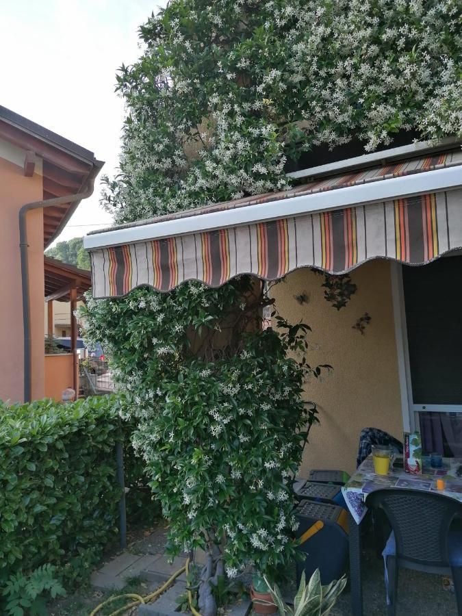 Hotel Le Palme Monteceneri Exterior foto